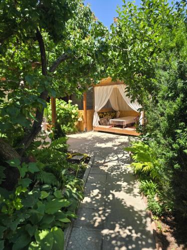 Olga Guest House in Cholpon-Ata