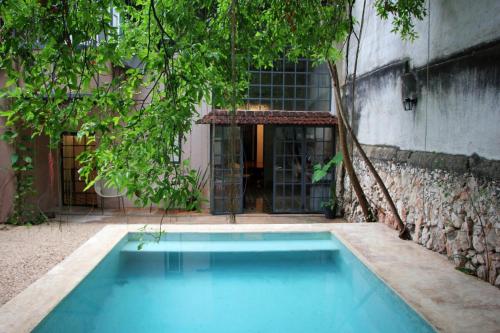 Oasis with natural pool in the heart of Mérida, Mérida