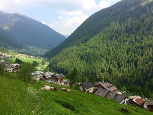 Agritur Maso Ciprianna B&B 5