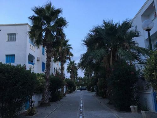 grădină, Appartement 3 chambres bords de mer Hammamet in Nabeul