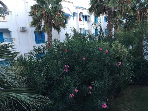 grădină, Appartement 3 chambres bords de mer Hammamet in Nabeul