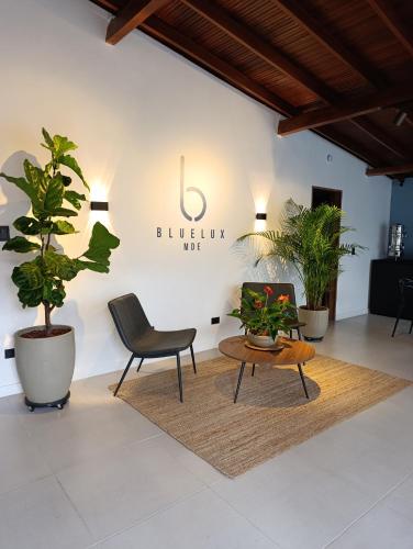 Bluelux Med - B&B, Medellín (photo 3)