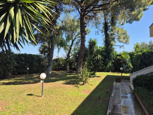 The Orange Groove – Bari, LA