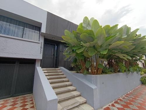 Bluelux Med - B&B, Medellín (photo 6)