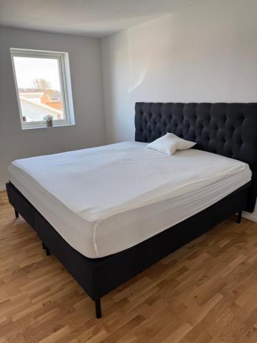 Skane near 말뫼 공항