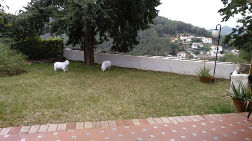 Chalet Monterrey in Palma de Gandia