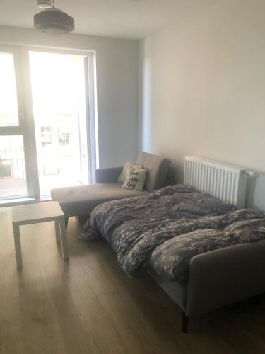 Luxury Double Room featuring comfortable sofa bed to sleep on, private balcony, and exclusive access to rooftop and garden in welcoming shared flat with host