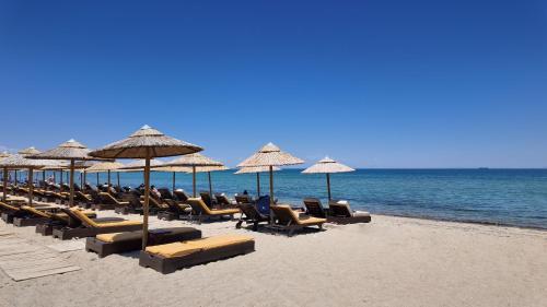 EONA BEACH RESORT by Greek Pride in Agia Triada (Thessaloniki)