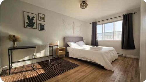 Boho Style Apartment in Villeray-Saint-Michel-Parc-Extension