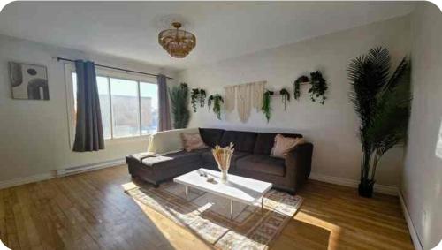 Boho Style Apartment in Villeray-Saint-Michel-Parc-Extension