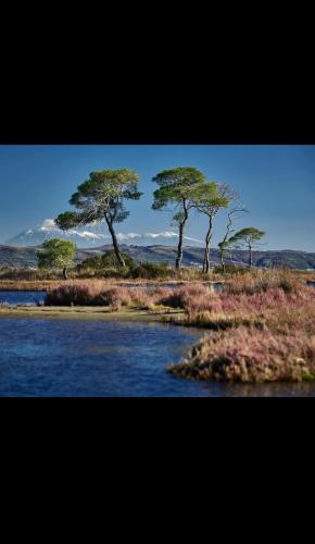 Ambiente nas Imediações, Villa Daka in Divjake
