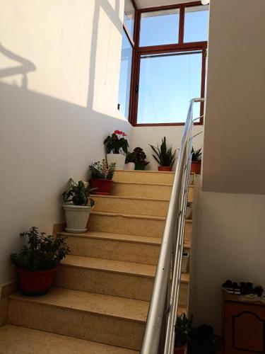 Villa Daka in Divjake