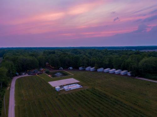 The Fields of Michigan