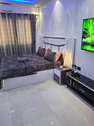 One-Bedroom Apartment image 10