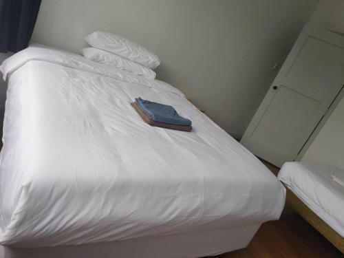 3 Bedroom House A, Auckland (photo 3)