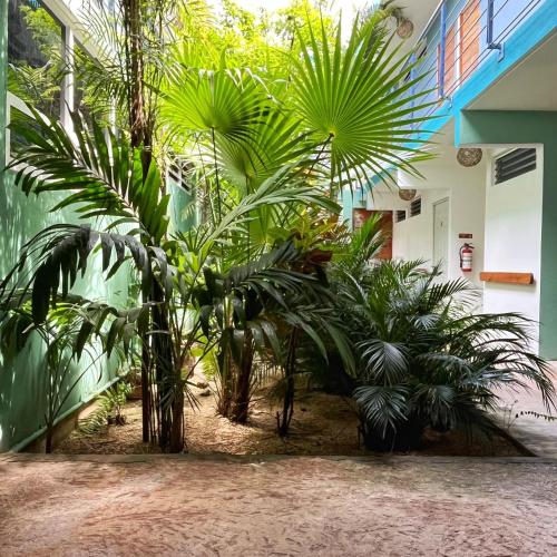 Gran Jaguar Hotel – Bacalar, TX