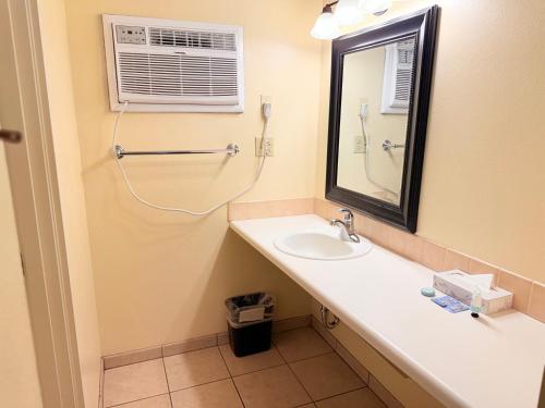 Double room, kitchen, pets allowed