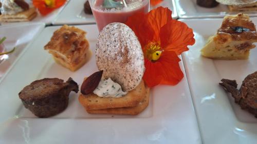 l'ecureuil roux in Ectot-l'Auber