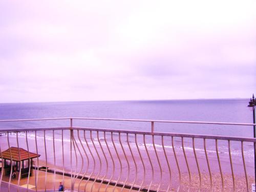 shoreside inn - image 5