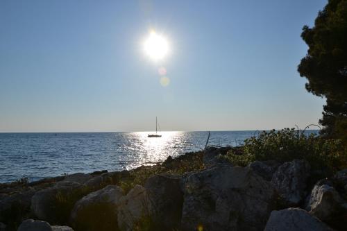 Easyatent FKK Safari Tent Koversada - main image