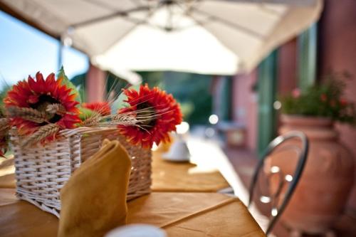 Podere Chiaromonte - image 8