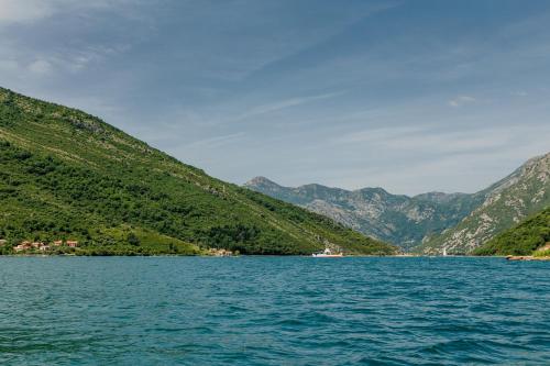 Dream Vacation Apartments - image 6