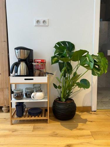 Huswell Artsy Family Apartment in City Center, Amberes (foto 10)