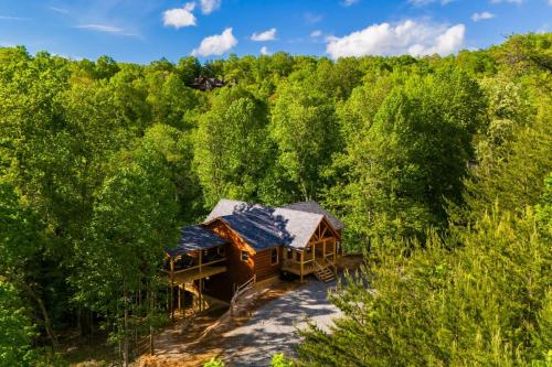 Whiskey Woods - Newly built cabin with fireplace wifi and more in Mineral Bluff, USA