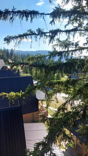 Kilátás, Apartment XYZ Vlašić (Apartment XYZ Vlasic) in Šišava