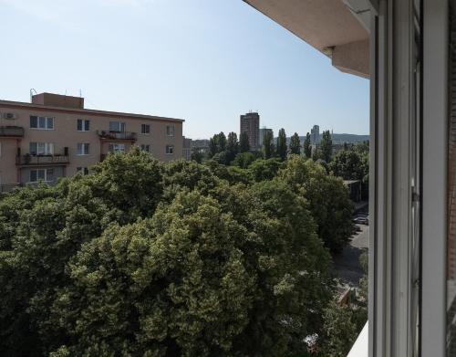 BNB Sklenarova Retreat, Bratislava (photo 4)