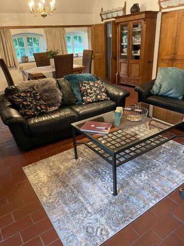 Reetdachhaus am See Ostfriesland in Leezdorf