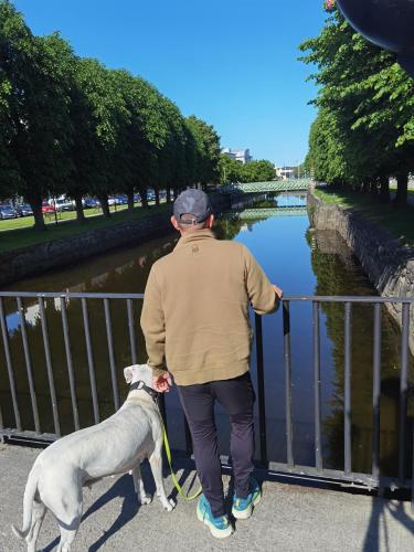 Uddevalla B&B in Uddevalla