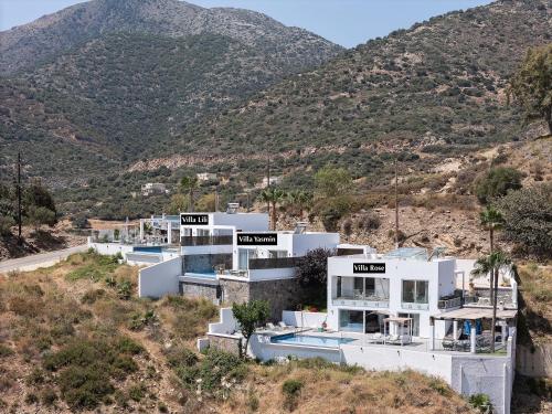 Standard Villa image 1
