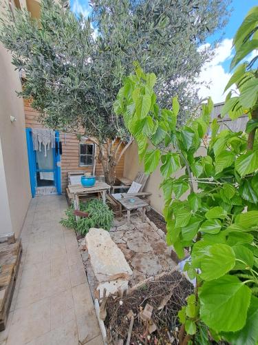 הבית של יולי in Yaara