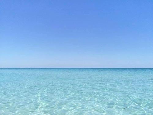 Mahdia home in 마흐디아