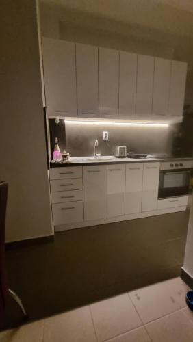 One-Bedroom Apartment image 3