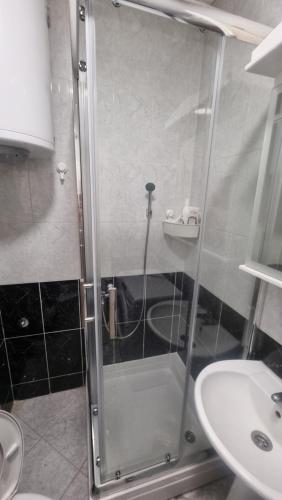 One-Bedroom Apartment image 9