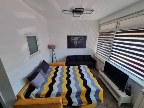 One-Bedroom Apartment image 10