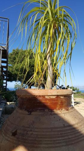 Casolare La Torre - image 13