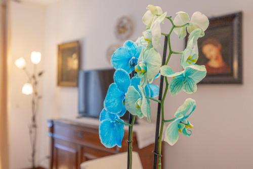 SantaCecilia Apartment, Verona (fotografie 10)