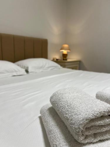 Duplex Cane Apartment, Tirana