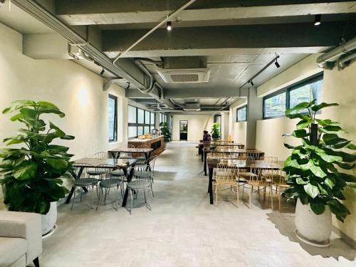 닌빈 NinhBinh Buffalo Hostel 호텔 레스토랑