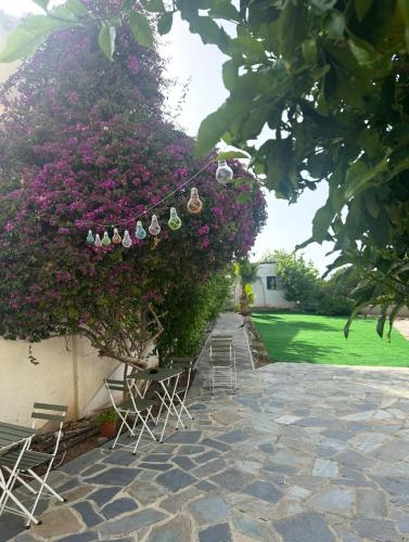 Hostl - Beds & Rooms - The Hostel Inn Paphos, Old Town, Пафос