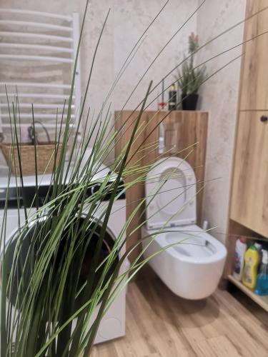Apartament pod modrzewiem