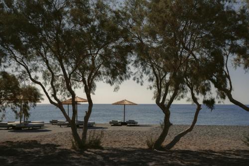 Black Rose Beach Suites - main image