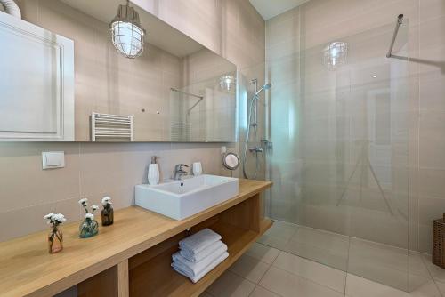 Large One-Bedroom Apartment image 10