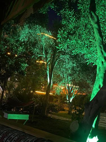 Gold Monami Otel – Ölüdeniz, MI