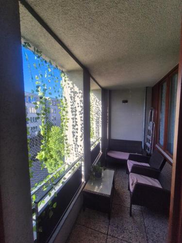 Hellersdorf City, Berlin (Foto 10)
