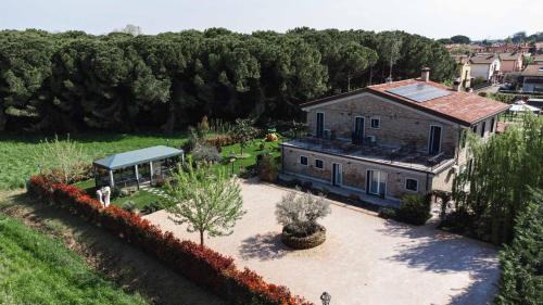 La Pineta nel Borgo 2