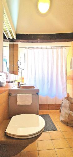 City Lights Zurich View Loft, Curych (fotografie 9)